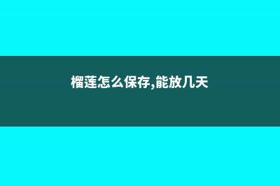 榴莲怎么保存 (榴莲怎么保存,能放几天)