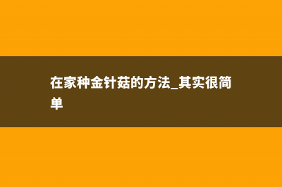 家里怎么种金针菇 (在家种金针菇的方法 其实很简单)