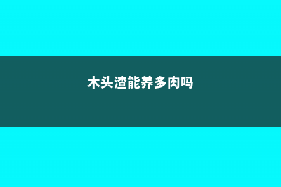 木头渣子竟是养花宝贝？养花大神就靠它，把花1盆变100盆！ (木头渣能养多肉吗)