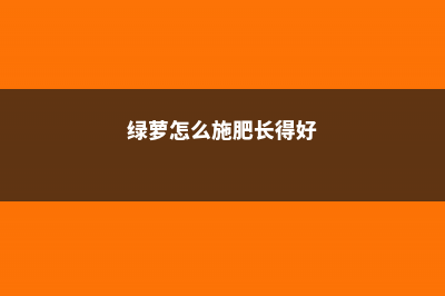 绿萝怎么施肥 (绿萝怎么施肥长得好)