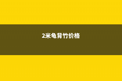 20米高的龟背竹大王， 把邻居的墙都爬满了，他用了啥猛料？ (2米龟背竹价格)