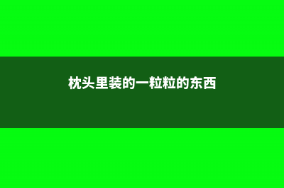 枕头里掏出一把芯，扔花盆里，绿萝吊兰长疯了！ (枕头里装的一粒粒的东西)