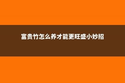 富贵竹怎么养才能更绿 (富贵竹怎么养才能更旺盛小妙招)