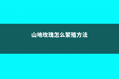 山地玫瑰怎么繁殖 (山地玫瑰怎么繁殖方法)