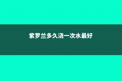 紫罗兰多久浇一次水 (紫罗兰多久浇一次水最好)