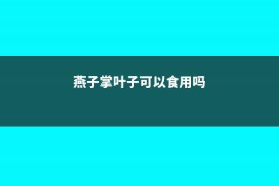 燕子掌叶子可以喷水吗 (燕子掌叶子可以食用吗)