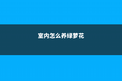 室内怎么养绿萝才茂盛 (室内怎么养绿萝花)