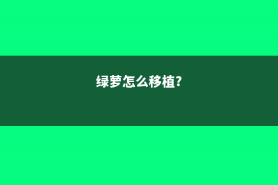 绿萝怎么移植 (绿萝怎么移植?)