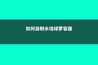 如何自制水培绿萝营养液 (如何自制水培绿萝容器)