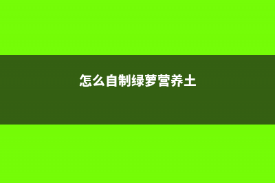 如何自制养绿萝的土 (怎么自制绿萝营养土)