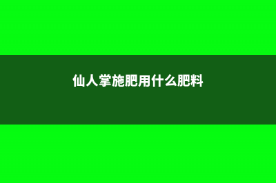 仙人掌施肥用什么肥料 (仙人掌施肥用什么肥料)