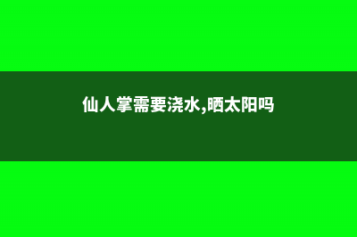 仙人掌需要浇水吗 (仙人掌需要浇水,晒太阳吗)