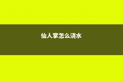 仙人掌如何浇水 (仙人掌怎么浇水)