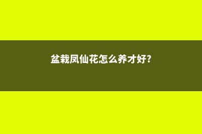 盆栽凤仙花怎么养 (盆栽凤仙花怎么养才好?)