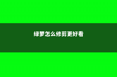 绿萝怎么修剪更茂盛 (绿萝怎么修剪更好看)