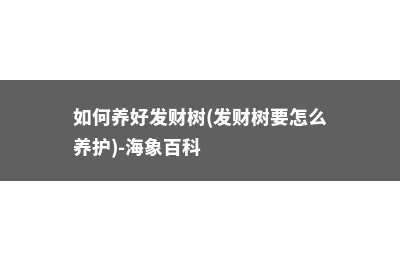 如何养好发财树 (如何养好发财树(发财树要怎么养护)-海象百科)