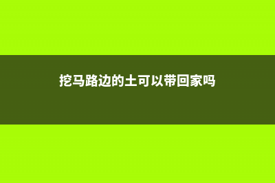 路边的土抓一把，掺点这个来养花，叶子肥的流油花呼呼直冒！ (挖马路边的土可以带回家吗)