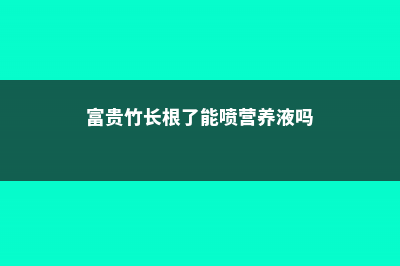 富贵竹长根了能土养吗 (富贵竹长根了能喷营养液吗)