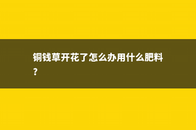 铜钱草开花了怎么办 (铜钱草开花了怎么办用什么肥料?)