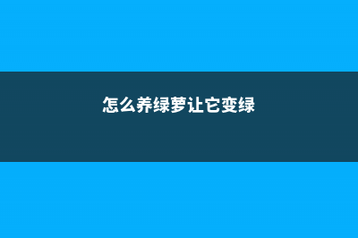 怎么养绿萝让它爬墙 (怎么养绿萝让它变绿)