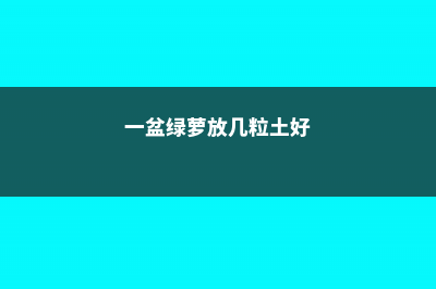 一盆绿萝放几粒复合肥 (一盆绿萝放几粒土好)