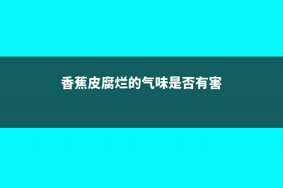 香蕉皮烂葡萄…丢盆里，花像吃了药，开花刹不住闸！ (香蕉皮腐烂的气味是否有害)