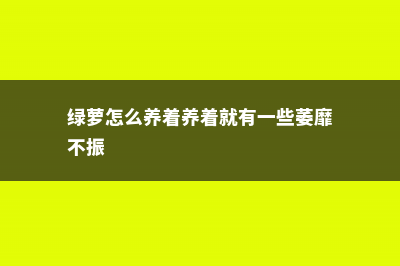 绿萝养腻了？这3种绿萝新养法，你不看绝对后悔！ (绿萝怎么养着养着就有一些萎靡不振)