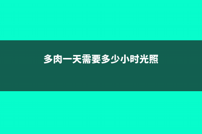 400盆多肉，一夜之间全死光，要命！ (多肉一天需要多少小时光照)