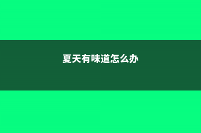 夏天老是臭烘烘？这花放水里一泡，异味全消失了！ (夏天有味道怎么办)