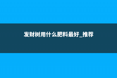 发财树用什么肥料最好 (发财树用什么肥料最好 推荐)