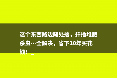 这个东西路边随处捡，扦插堆肥杀虫…全解决，省下10年买花钱！ 