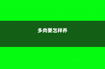 多肉就得这么养，水灵灵像果冻，小孩见了抢着吃！ (多肉要怎样养)