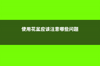 养花小心用错盆，怎么养都不活，怪不得你是养花杀手！ (使用花盆应该注意哪些问题)