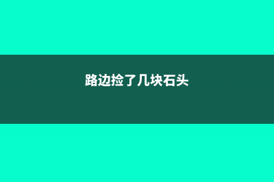 路边捡了几块石头，拿来养花，朋友都抢疯了！ (路边捡了几块石头)