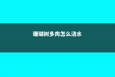 珊瑚树多肉怎么养 (珊瑚树多肉怎么浇水)