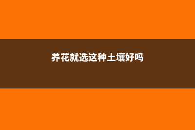 养花就选这种土，不烂根不黄叶，夏天也能蹭蹭爆盆！ (养花就选这种土壤好吗)