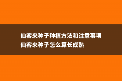 仙客来种子种植方法 (仙客来种子种植方法和注意事项仙客来种子怎么算长成熟)