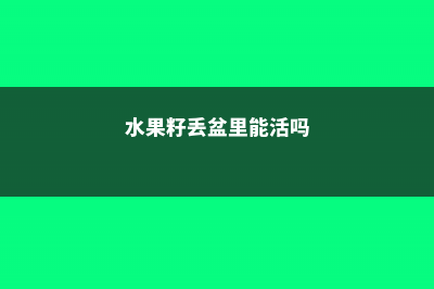 水果籽丢盆里，呼呼冒绿芽，1年结果100个！ (水果籽丢盆里能活吗)