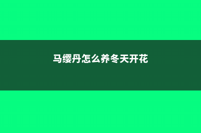 马缨丹怎么养 (马缨丹怎么养冬天开花)