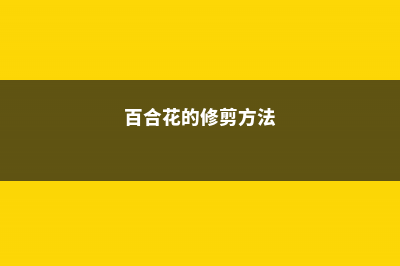 百合花的修剪方法 (百合花的修剪方法)