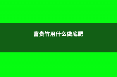 富贵竹用什么做营养液 (富贵竹用什么做底肥)