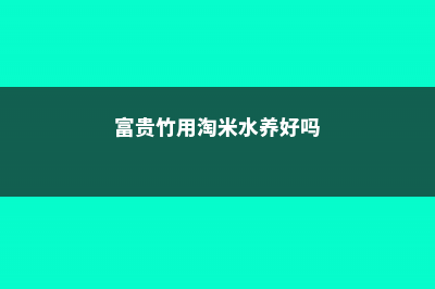 富贵竹可以用淘米水养吗 (富贵竹用淘米水养好吗)