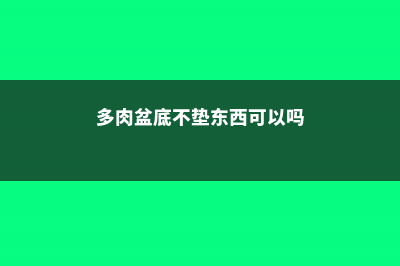 多肉盆底垫了它，天再热也不怕死，越养越爆盆！ (多肉盆底不垫东西可以吗)