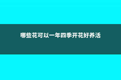 这5种花，一到夏天就烂叶，咔嚓1刀立马绿油油！ (哪些花可以一年四季开花好养活)