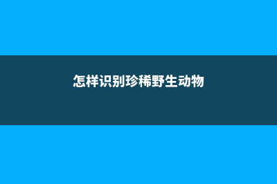 怎样识别珍稀野生兰花 (怎样识别珍稀野生动物)