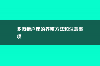 猎户座多肉怎么养 (多肉猎户座的养殖方法和注意事项)