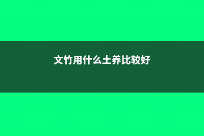 文竹用什么土养好 (文竹用什么土养比较好)