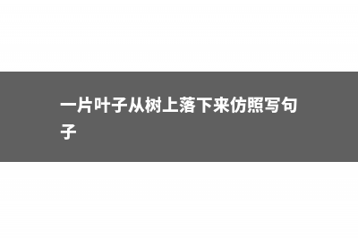 从一片叶到爬满墙，她只用了1个月，爆发力惊人！ (一片叶子从树上落下来仿照写句子)