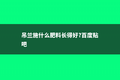 吊兰施什么肥料长得好 (吊兰施什么肥料长得好?百度贴吧)