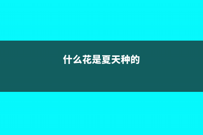 这5种花，夏天最怕闷，再不通风保准死翘翘！ (什么花是夏天种的)